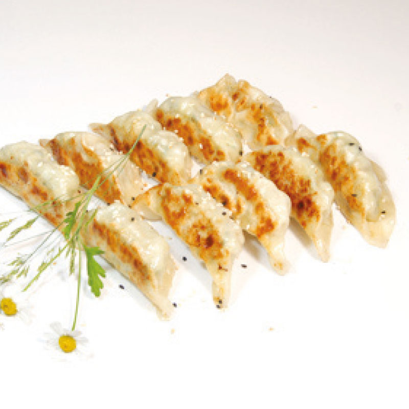 T3.10 Raviolis japonaise